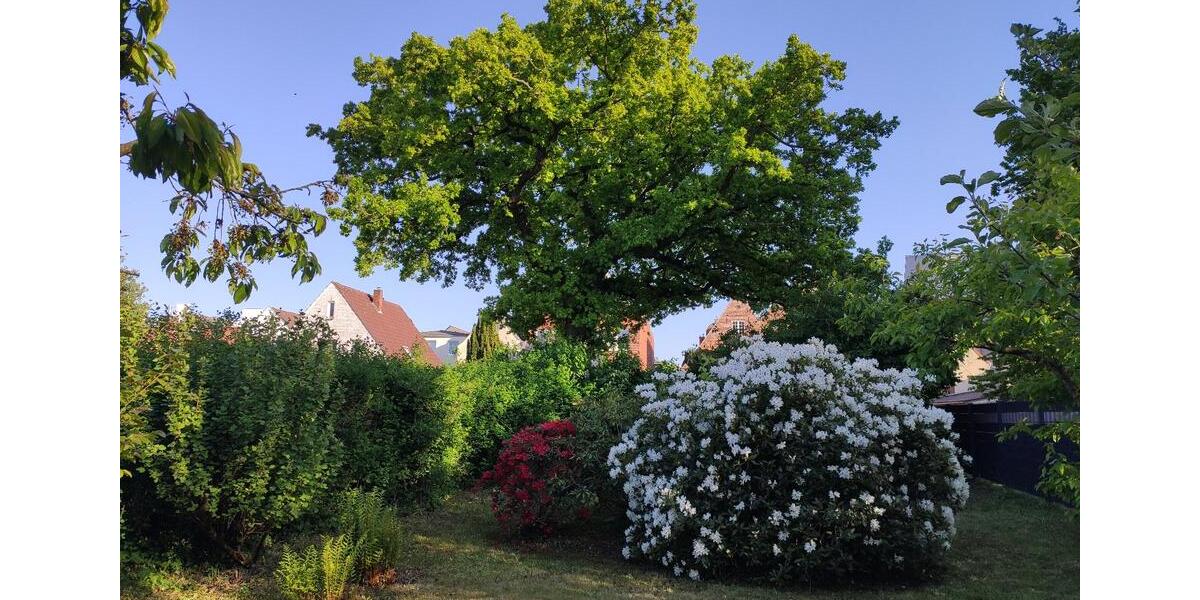 Dachgeschoßwohnung Husum - 3 Zimmer, 95 m&sup2;, 780&euro; | Angebot:26415327