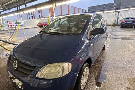 VW Fox