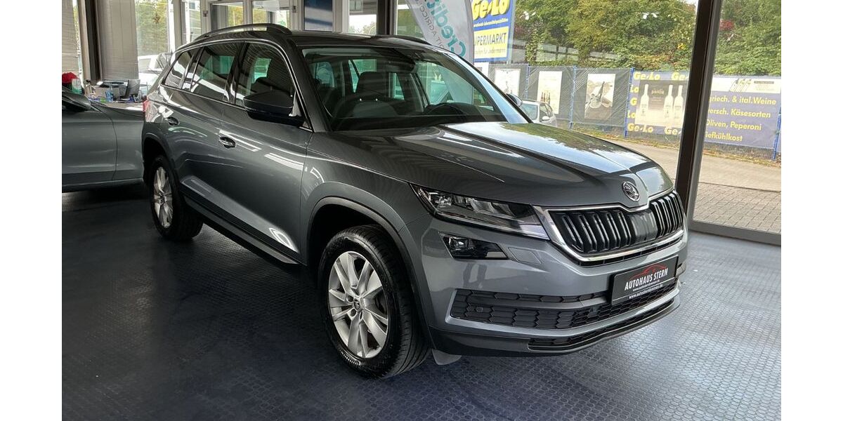 Skoda Kodiaq 250.000 km 17.000 &euro; Bremen 28201