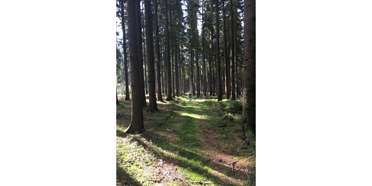 Ferienimmobilie Tanna - 110&euro; | Angebot:9506263