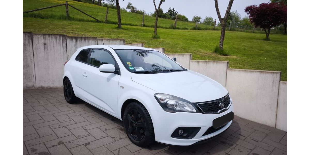 Kia pro ceed / ProCeed 193.000 km 1.990 &euro; Neustadt/Wied 53577