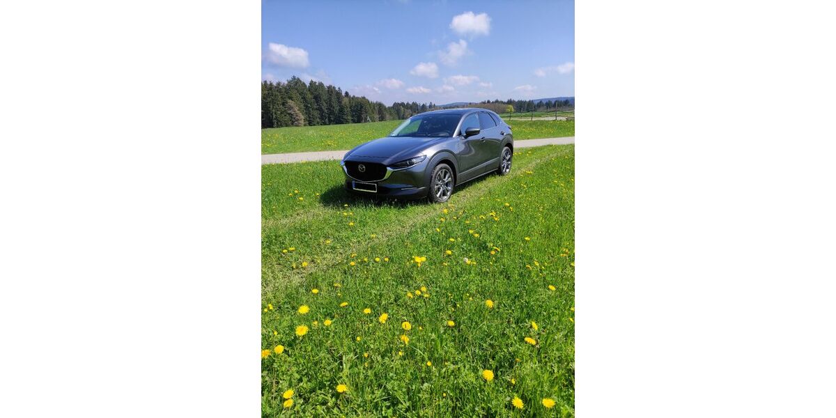 Mazda CX-30 28.500 km 21.500 &euro; Horb a.N. 72160
