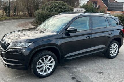 Skoda Kodiaq 169.000 km 17.800 &euro; Bad Bentheim 48455