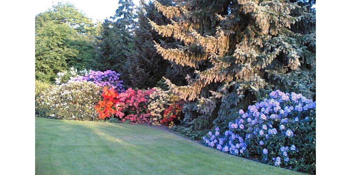 Bungalow Walsrode - 5 Zimmer, 130 m&sup2;, 425.000&euro; | Angebot:26035261