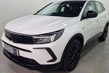 Opel Grandland (X) 18.399 km 22.850 € Landau 76829