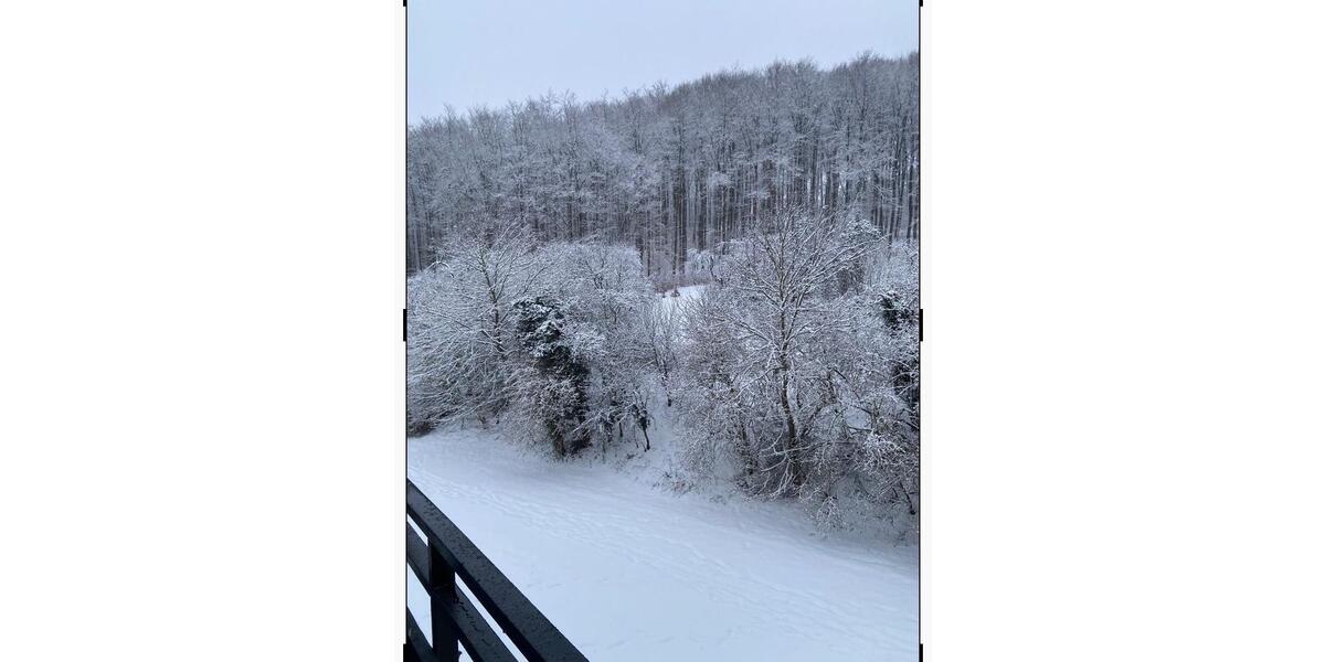 Etagenwohnung Buseck - 3 Zimmer, 93 m&sup2;, 249.000&euro; | Angebot:24850952