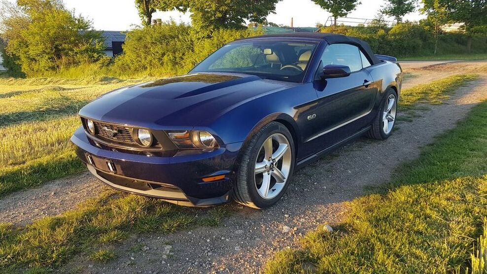 Mustang
