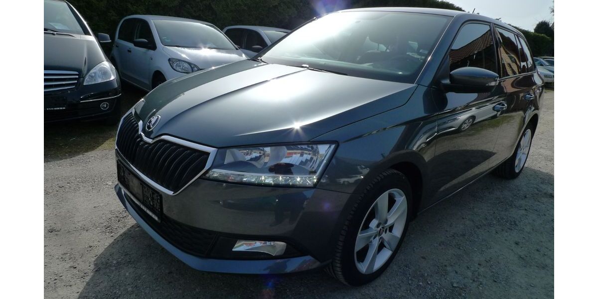 Skoda Fabia 108.000 km 10.690 &euro; Holtensen 30974