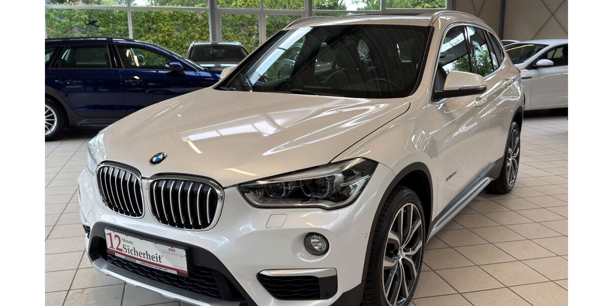 BMW X1 127.118 km 17.299 &euro; Buxtehude 21614