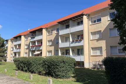 Wohnung Oranienbaum-Wörlitz Wörlitz - 3 Zimmer, 58 m&sup2;, 322&euro; | Angebot:23213559