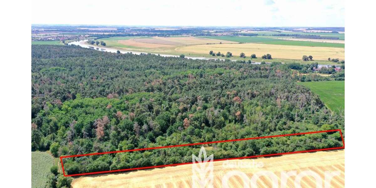 Grundstück Mühlberg/Elbe / Fichtenberg Fichtenberg - 9.900&euro; | Angebot:24717442