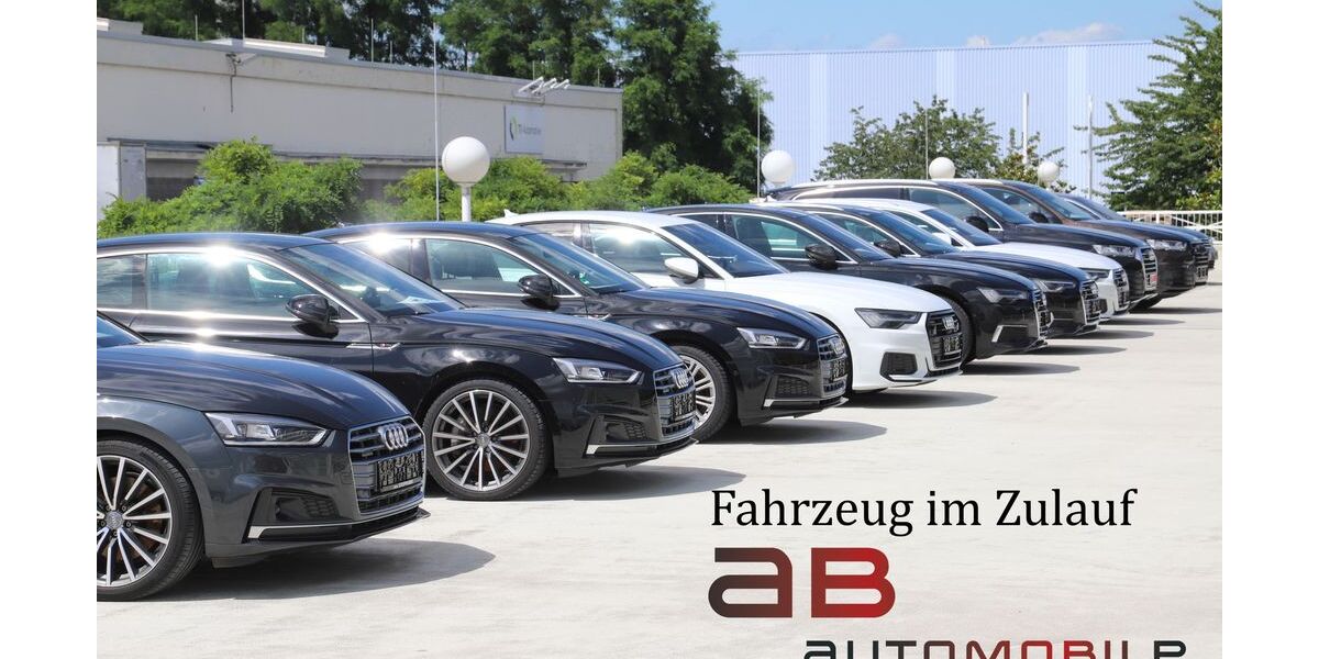 Audi Q8 e-tron 17.353 km 61.900 &euro; Ettlingen 76275