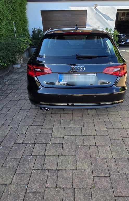 A3