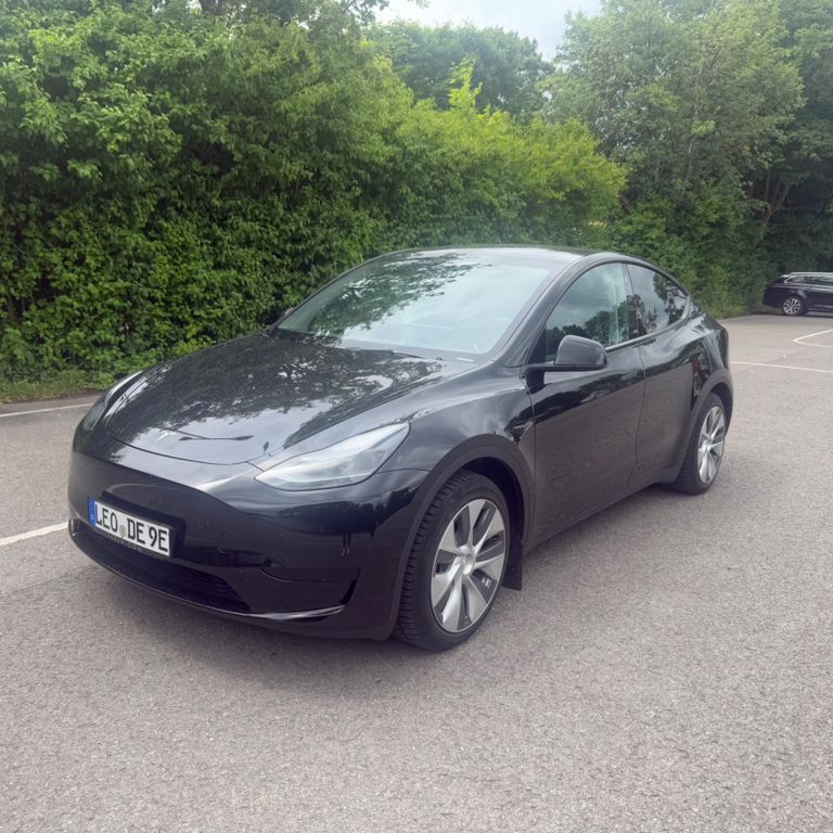 Model Y