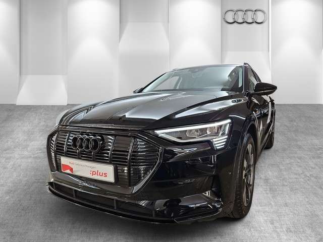Audi e-tron 31.828 km 53.850 &euro; Speyer 67346