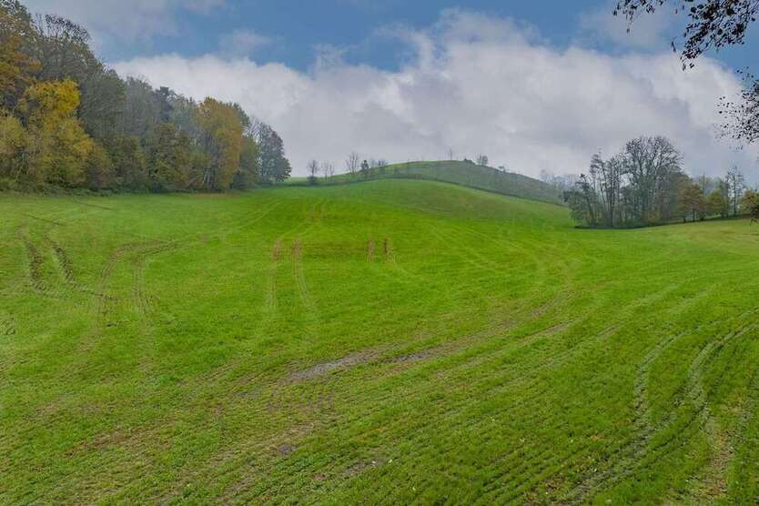 Grundstück in Kößlarn 156.652,50 € 20887 m²