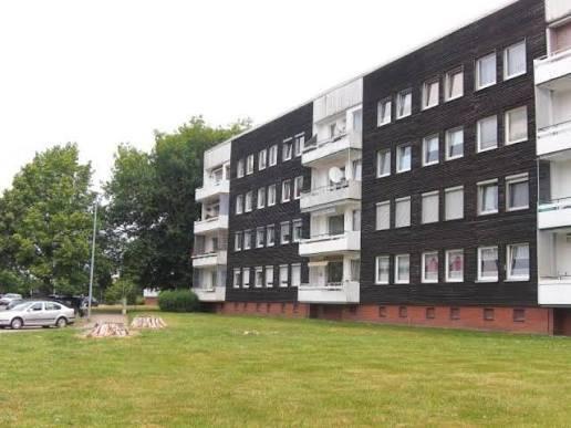 3 Zimmer Wohnung 3 zimmer