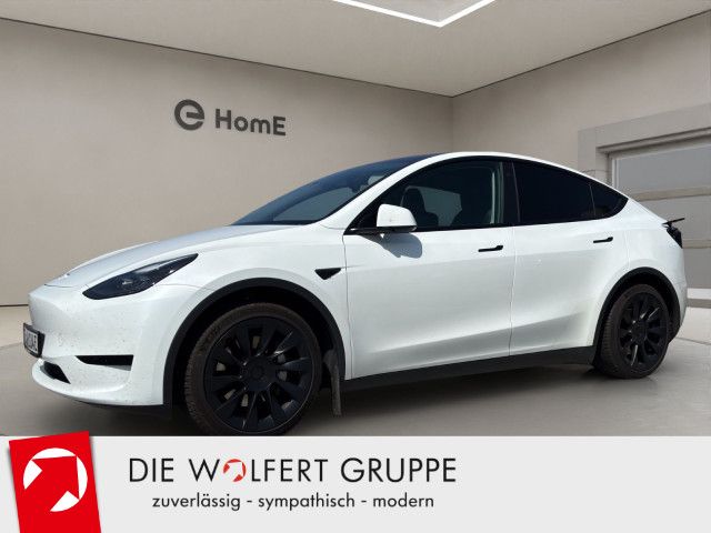 Model Y