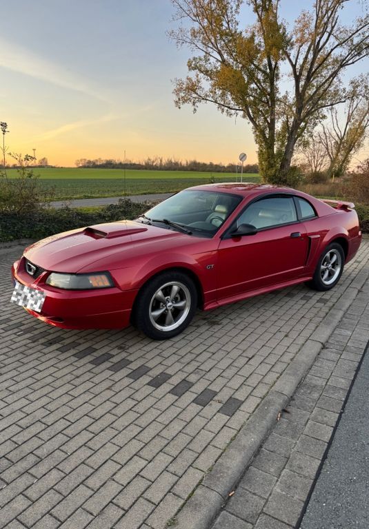 Mustang