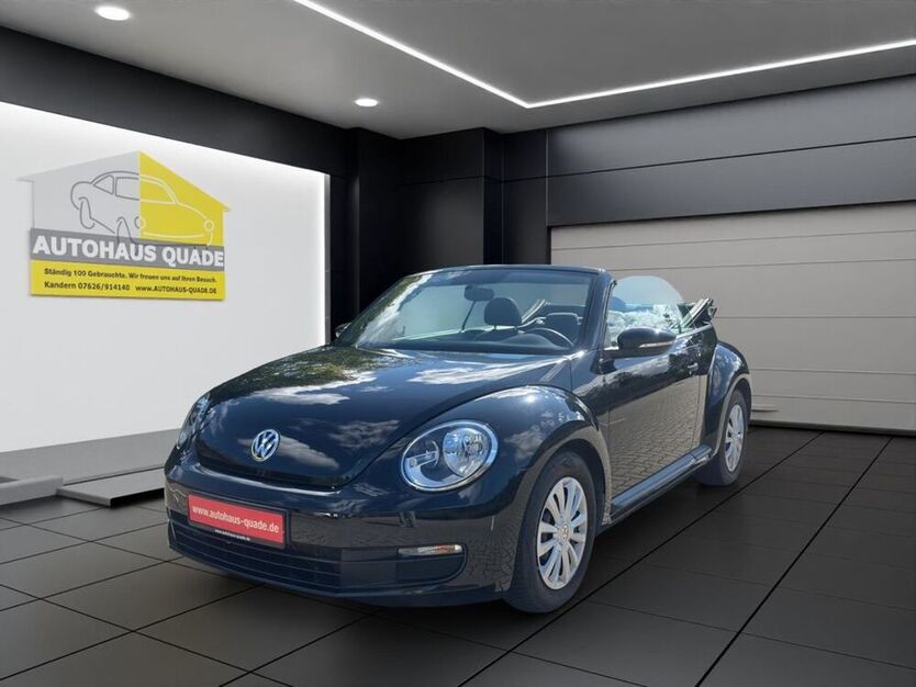Beetle