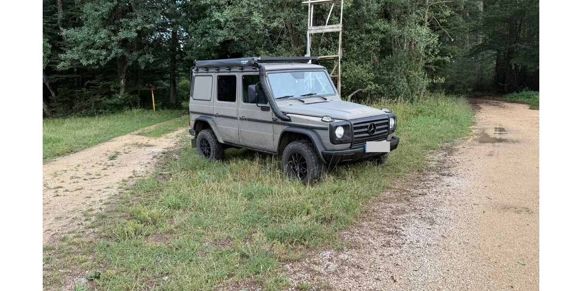 Mercedes-Benz G 270 356.515 km 36.999 &euro; Bingen 72511