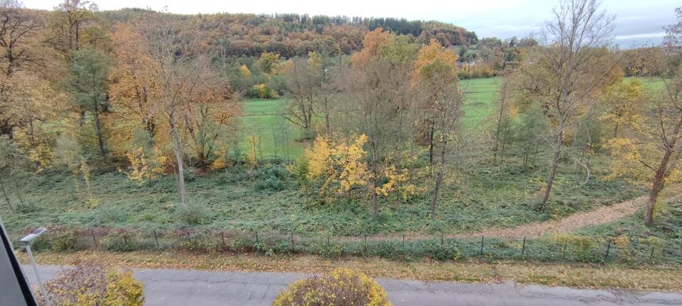 Etagenwohnung Büdingen - 3 Zimmer, 67 m&sup2;, 600&euro; | Angebot:26207349