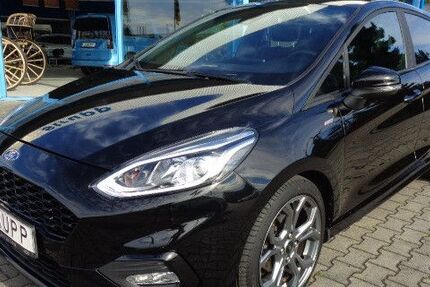 Ford Fiesta 97.750 km 13.750 € Triptis 07819