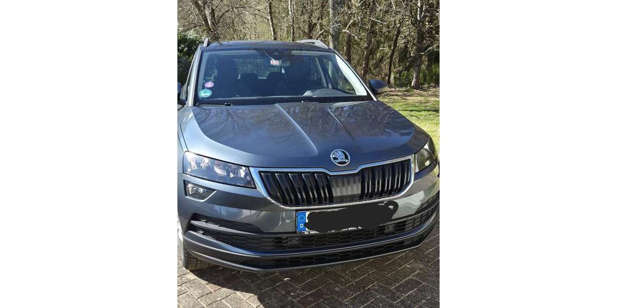 Skoda Karoq 114.000 km 17.999 &euro; Blieskastel 66440
