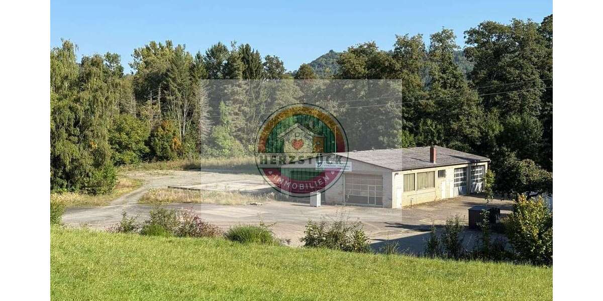 Halle in Stadtsteinach 329.000 € 350.97 m² zimmer