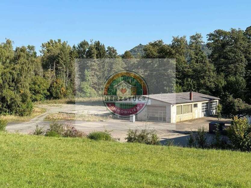 Halle in Stadtsteinach 329.000 € 350.97 m² zimmer