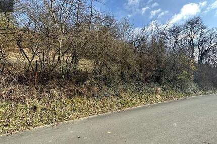 Grundstück Ködnitz / Fölschnitz Fölschnitz - 99.500&euro; | Angebot:23941736