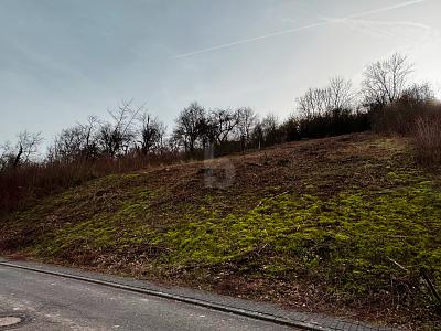 SONNENVERWÖHNTE 839 QM MIT AUSSICHT - Grundstück Welschbillig | Angebot:25591479