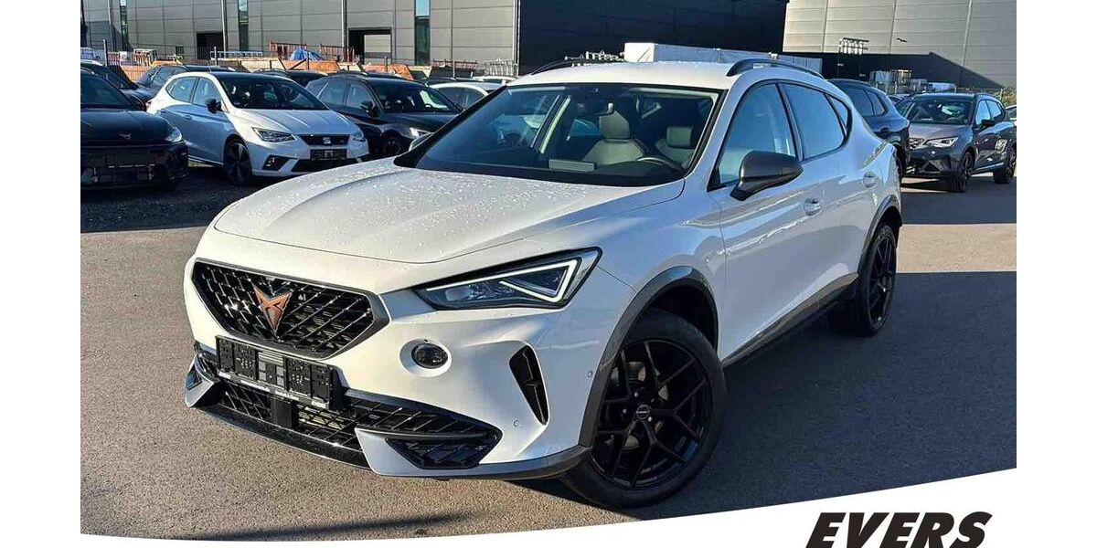 Cupra Formentor 105.500 km 24.850 &euro; Kleve 47533