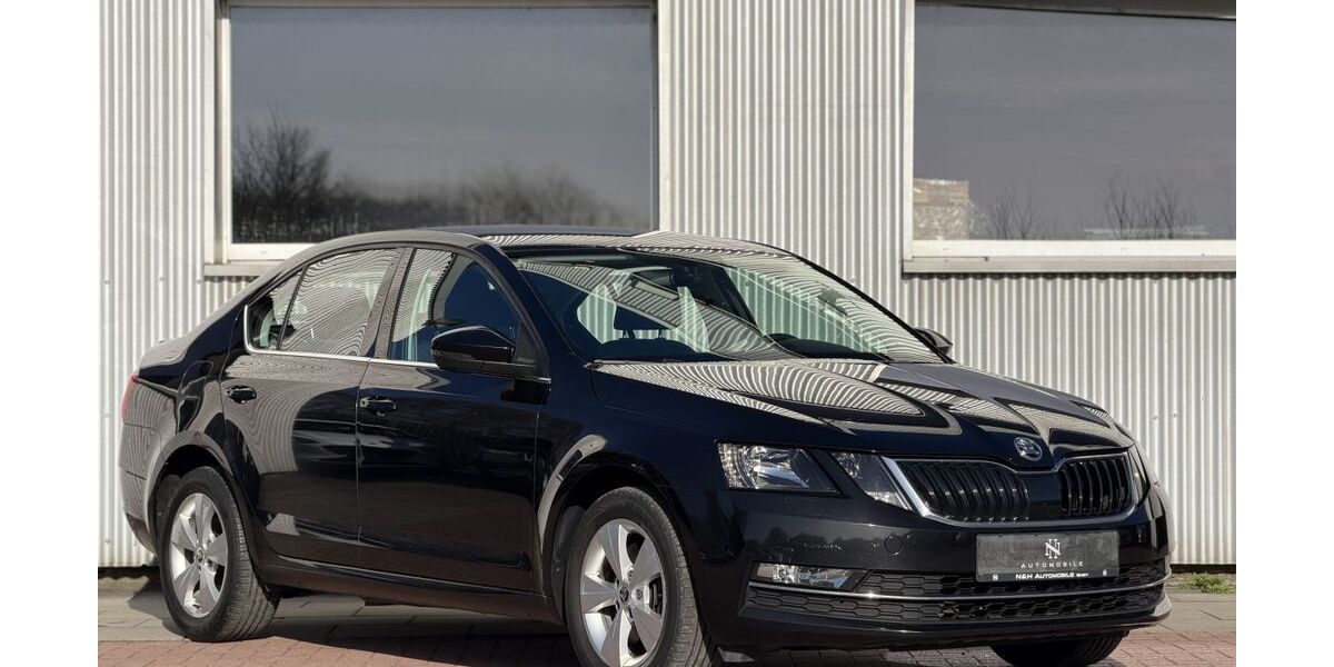 Skoda Octavia 117.000 km 12.490 &euro; Flensburg 24941