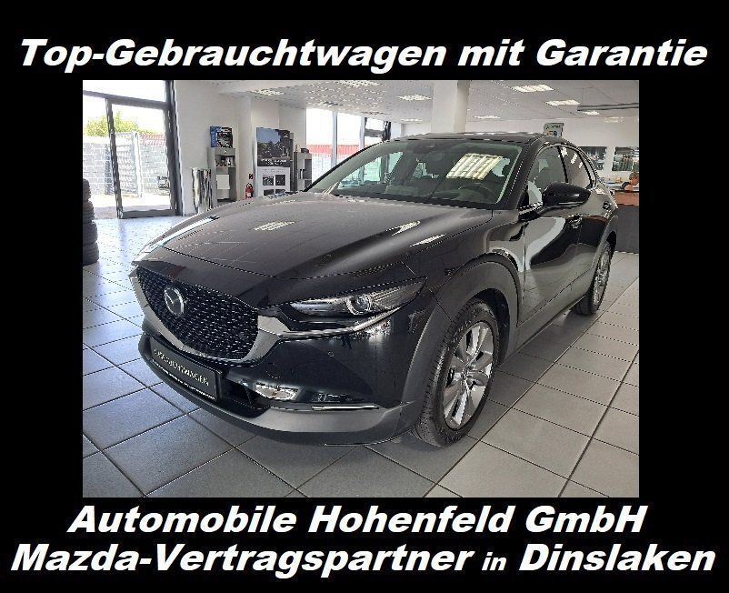 CX-30