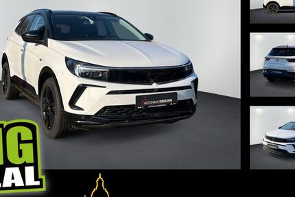 Opel Grandland (X) 66.675 km 17.490 &euro; Dresden 01217