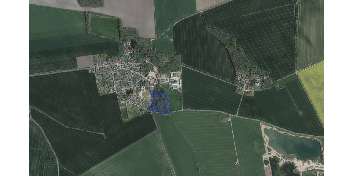 Grundstück zu verkaufen in Köthen (Anhalt) OT Merzien 61.000 € 34554 m² zimmer