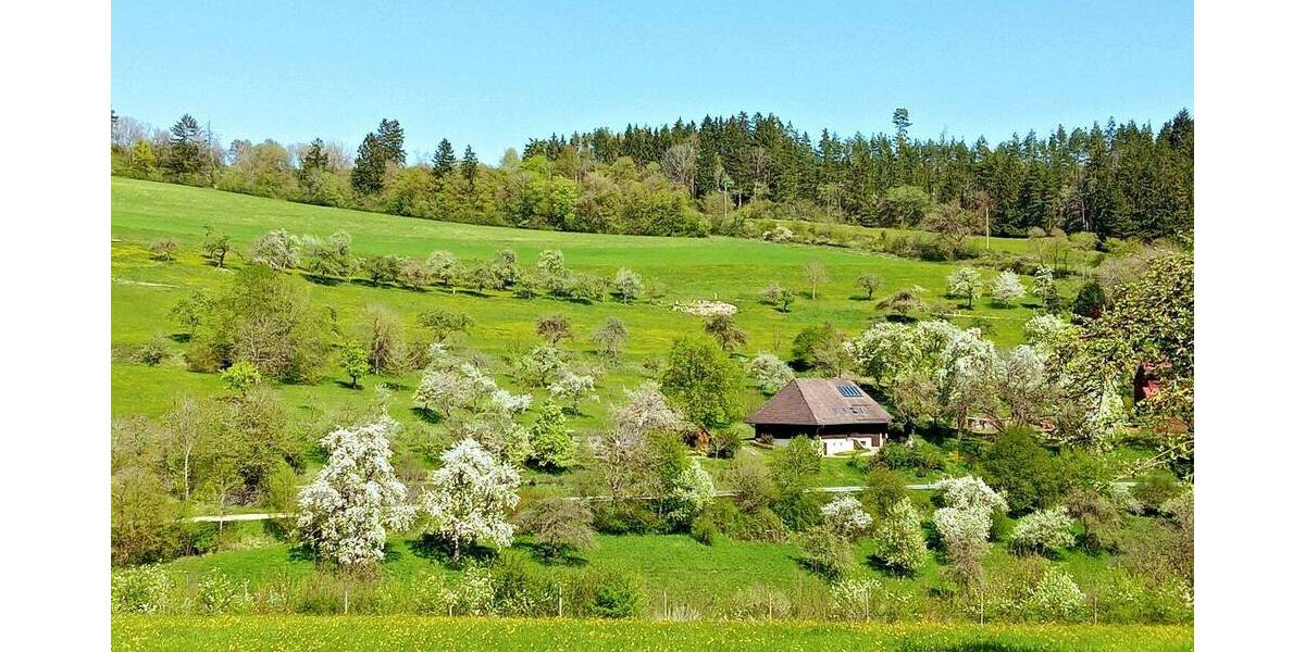 Einfamilienhaus Bonndorf im Schwarzwald Brunnadern - 8 Zimmer, 181 m&sup2;, 450.000&euro; | Angebot:26379865