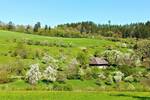 Einfamilienhaus Bonndorf im Schwarzwald Brunnadern - 8 Zimmer, 181 m&sup2;, 450.000&euro; | Angebot:26379865