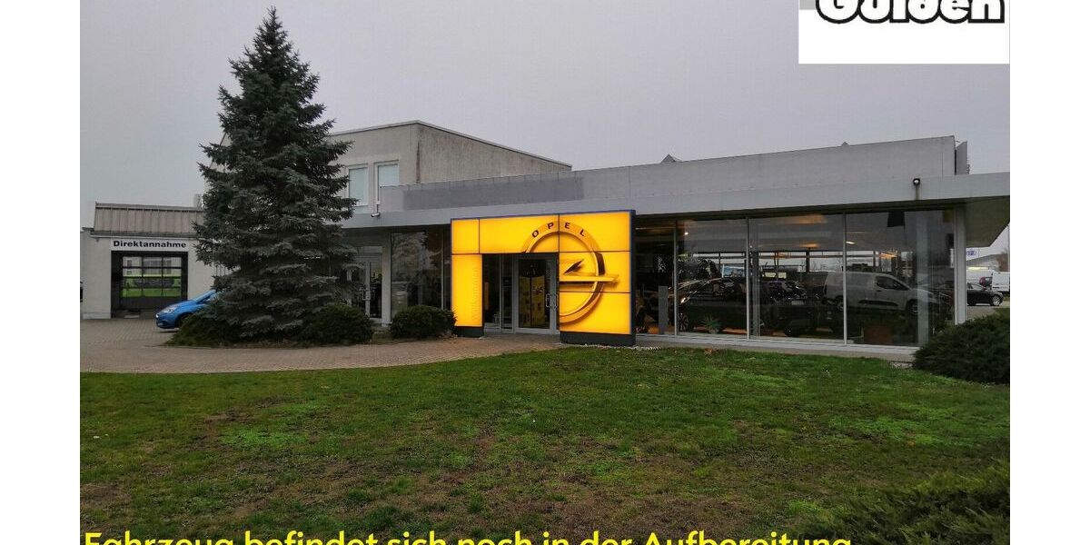 Opel Grandland (X) 60.700 km 16.890 &euro; Delitzsch OT Döbernitz 04509