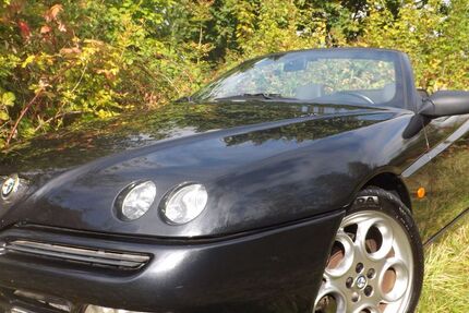 Alfa Romeo Spider 84.000 km 6.500 € Mettmann 40822