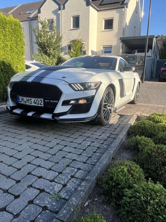 Mustang