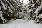 Provisionsfrei* Kleines Hotel im Thüringer Wald sucht neuen Eigentümer - Gewerbeobjekt Suhl Schmiedefeld am Rennsteig | Angebot:25642404