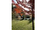 Bauernhaus, Landhaus Hemmoor - 9 Zimmer, 200 m&sup2;, 499.999&euro; | Angebot:24644031