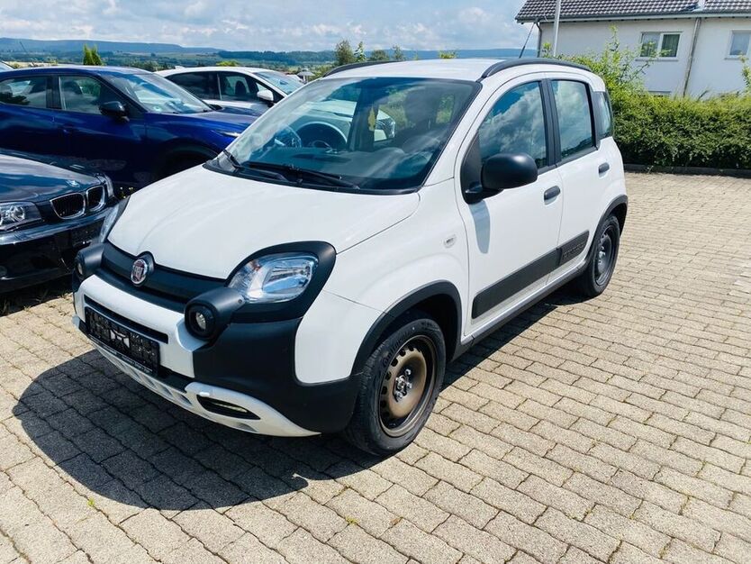 Panda