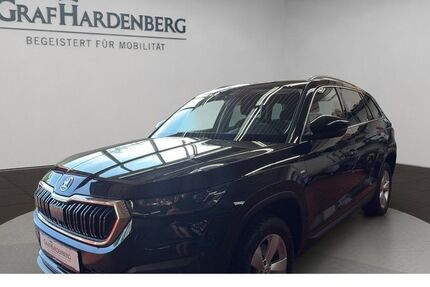 Skoda Kodiaq 106.400 km 25.444 &euro; Offenburg 77652