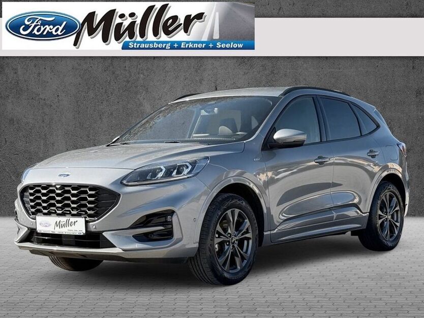 Kuga
