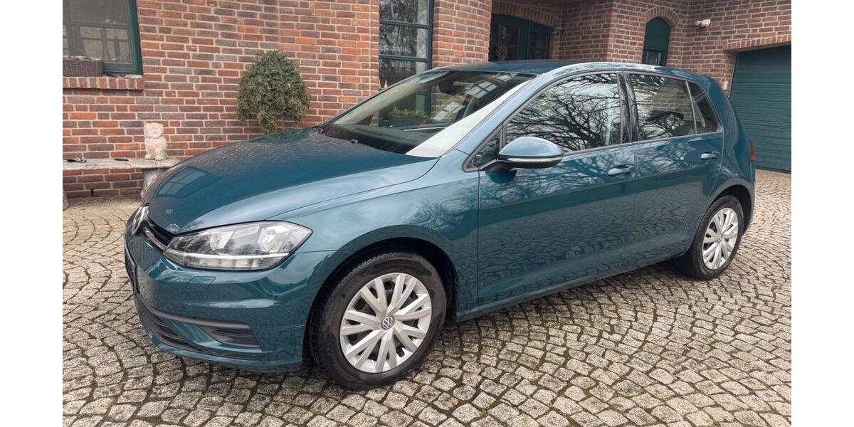 VW Golf 224.500 km 6.999 &euro; Jessen 06917