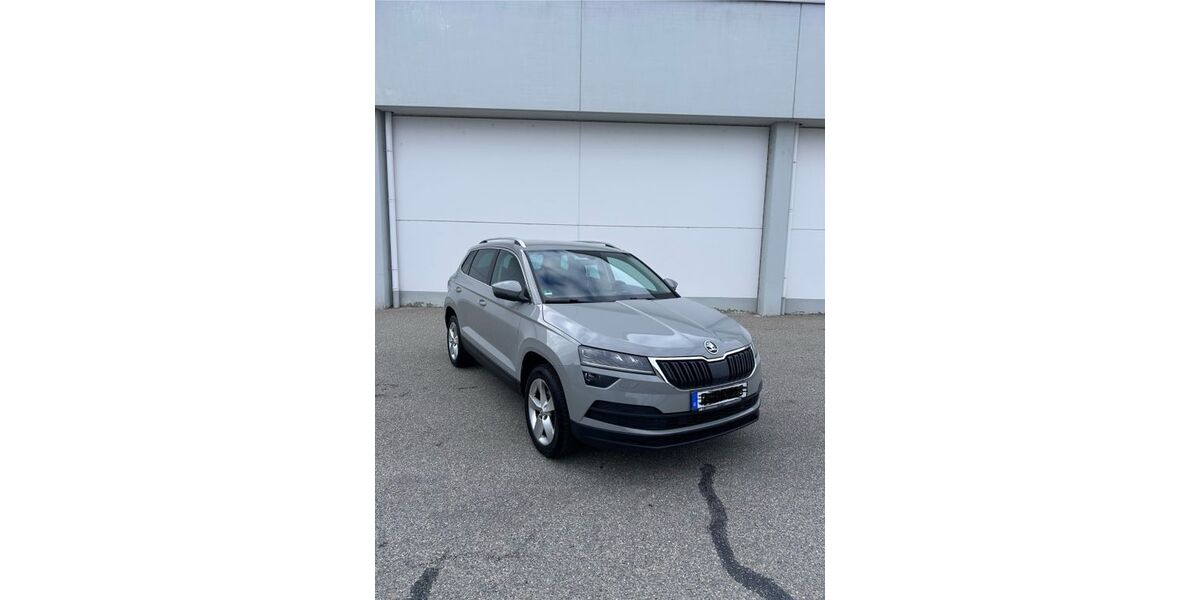 Skoda Karoq 118.000 km 18.700 &euro; Regensburg 93059