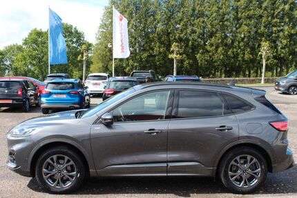 Ford Kuga 30.000 km 28.990 &euro; Speicher 54662